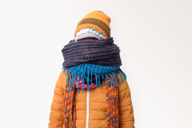 Cozy living room showcasing comfort and style for your perfect home retreat