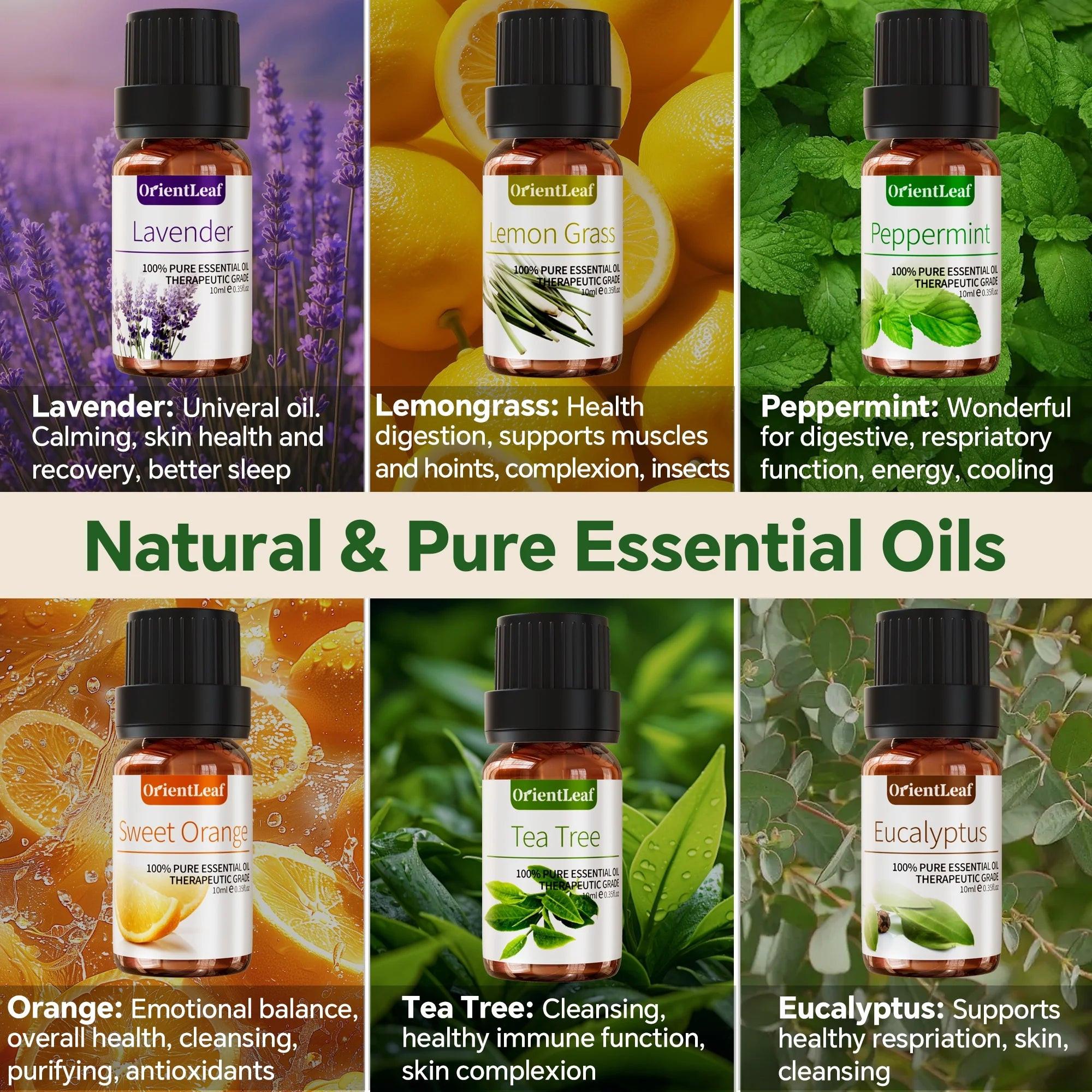 Essential Oils Sets, Essential Oil for Diffuser, Aromatherapy, Sleep, Massage & DIY.