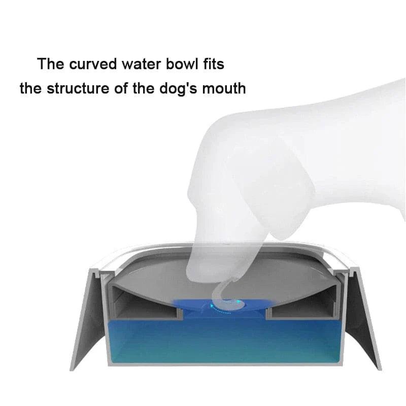 Dog Drinking Water Bowl with Floating Design - Large Capacity.
