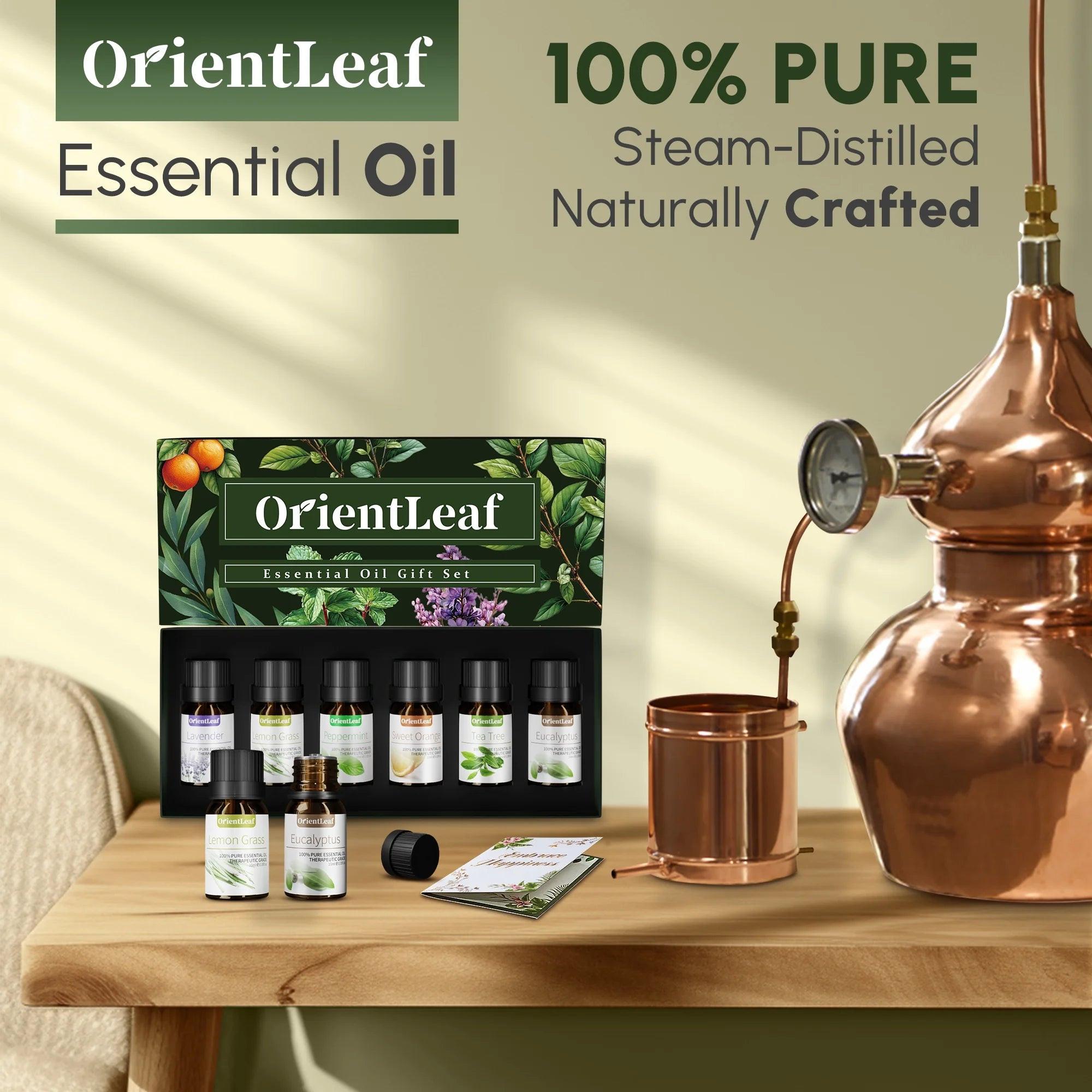 Essential Oils Sets, Essential Oil for Diffuser, Aromatherapy, Sleep, Massage & DIY.
