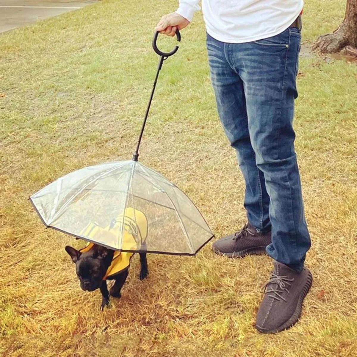 Transparent Dog Umbrella for Rainy Days - Keep Your Pup Dry.